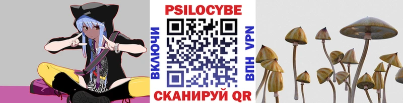 Псилоцибиновые грибы Psilocybine cubensis  это телеграм  Магадан 