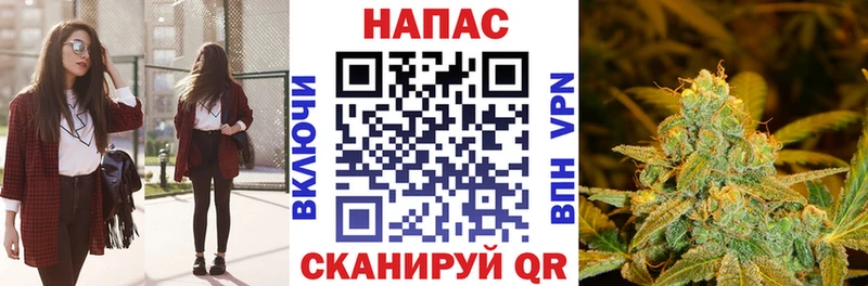блэк спрут зеркало  Магадан  Бошки Шишки AK-47 